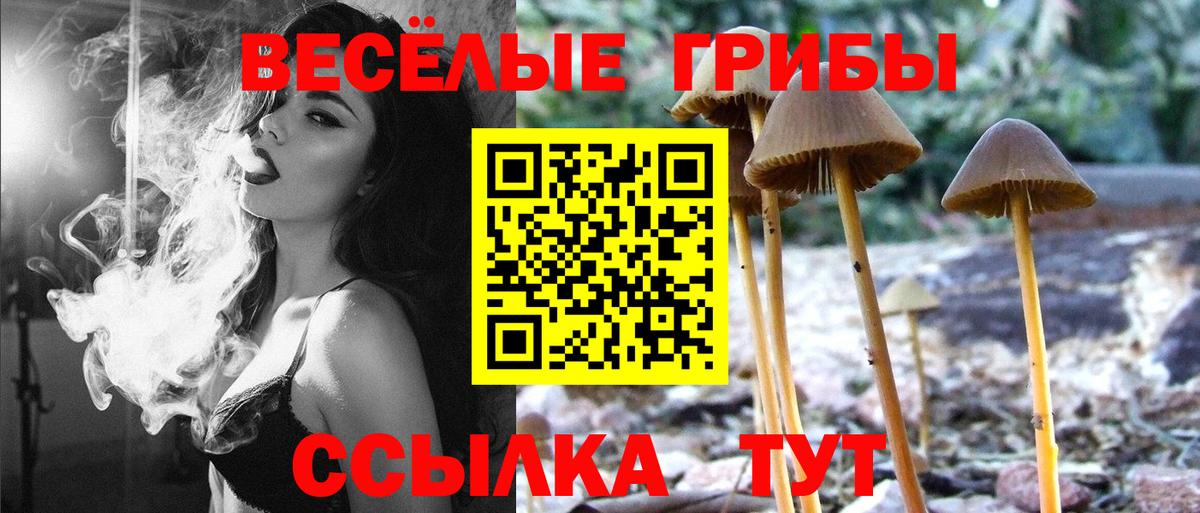 Кизилюрт  Псилоцибиновые грибы Magic Shrooms  Вход с VPN  Псилоцибиновые грибы прущие грибы 